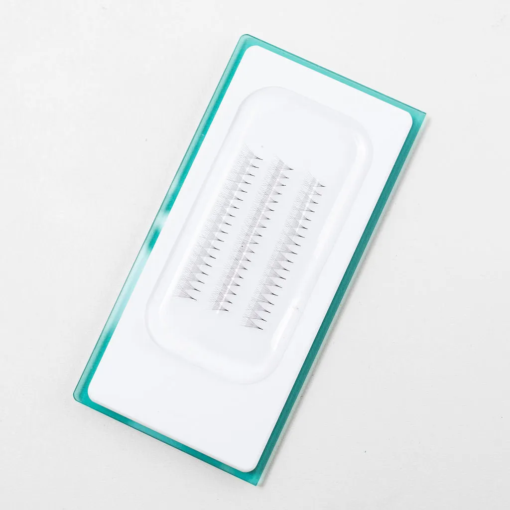 Premade 6D Lash Fans
